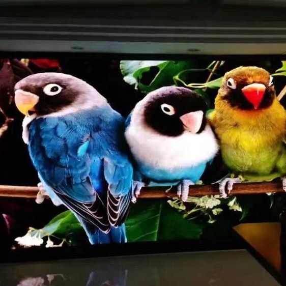 Uiterst dunne Geleide Video van de de Kleurenvideo van de Muurvertoning Volledige de Aanplakbordenp1.667 P1.25 Binnen Rgb